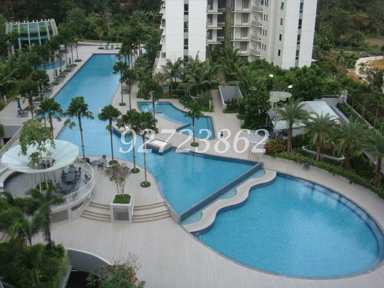 Tree House (D23), Condominium #158041022